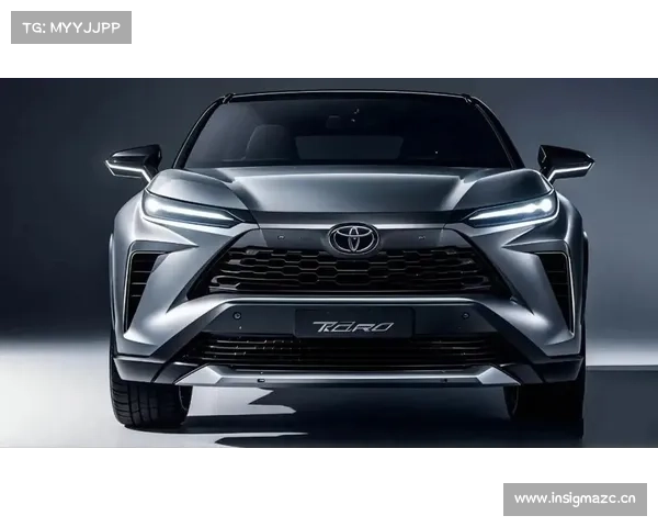 全新汉兰达细节：外观长这样？蜂窝格栅+C字型大灯 配大尺寸中控屏